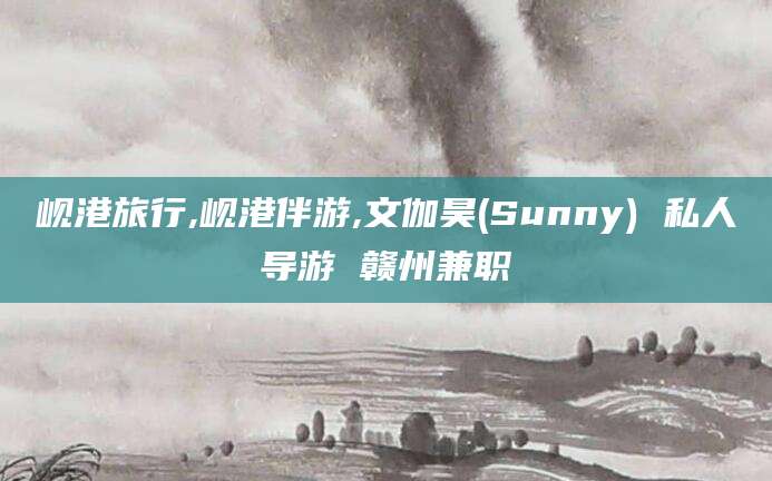 白沙岘港旅行,岘港伴游,文伽昊(Sunny) 私人导游 赣州兼职